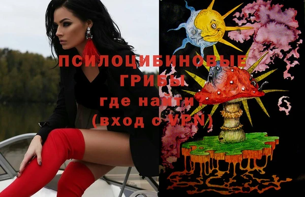 молекула духа Алексин