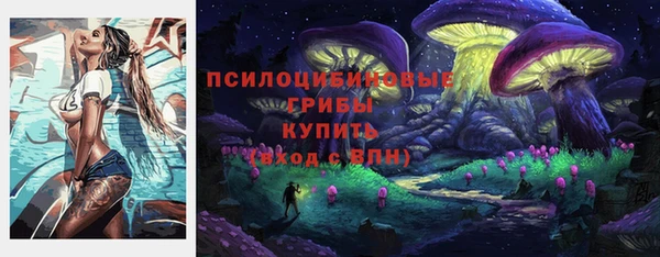 спайс Алзамай