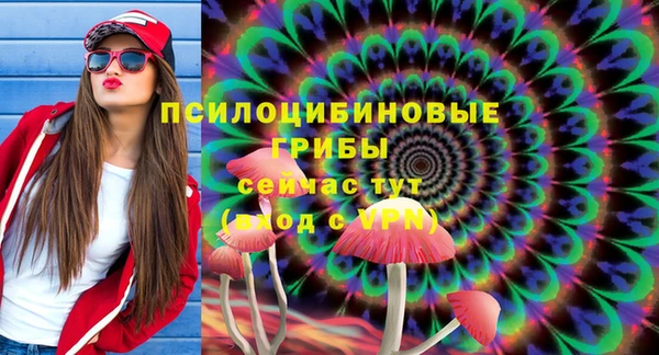 спайс Алзамай