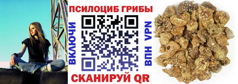 Псилоцибиновые грибы мухоморы  Оленегорск 